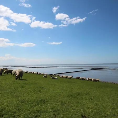 Kleine Nordseewelle Ohne Hund *
