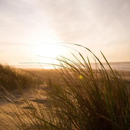 Holiday home Kleine Nordseewelle Ohne Hund Norden