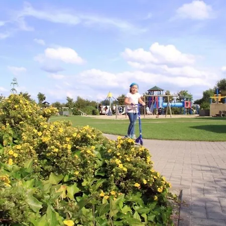 Kleine Nordseewelle Ohne Hund Norden