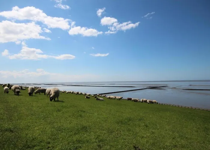 Kleine Nordseewelle Ohne Hund *