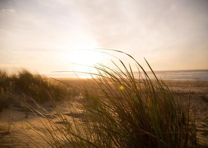 Сasa de vacaciones Kleine Nordseewelle Ohne Hund Norden